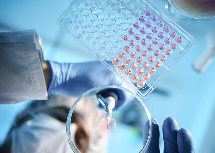 Xiushi Biofarmacia: últimas actualizaciones sobre biología sintética y productos polipeptídicos