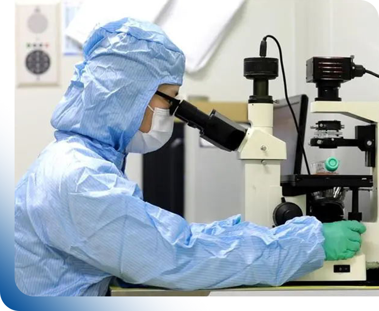 Proceso de descubrimiento de péptidos: servicios integrales que incluyen detección de bibliotecas de péptidos, diseño de péptidos asistido por computadora y síntesis de péptidos de alta pureza para el desarrollo de fármacos.